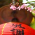 zhuo ye cottage