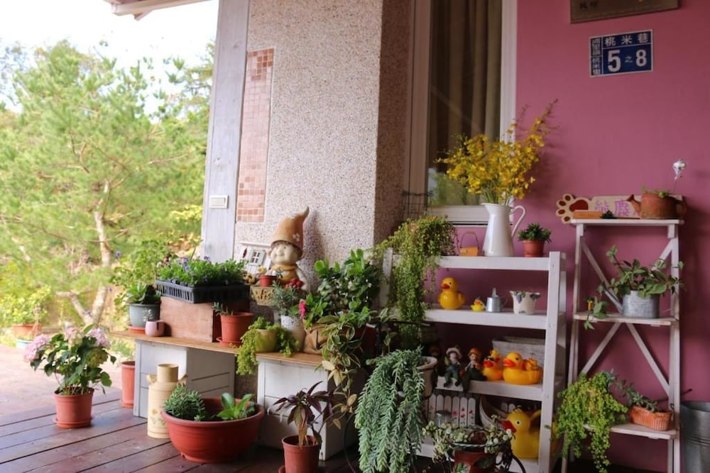 bear meets moose bed and breakfast