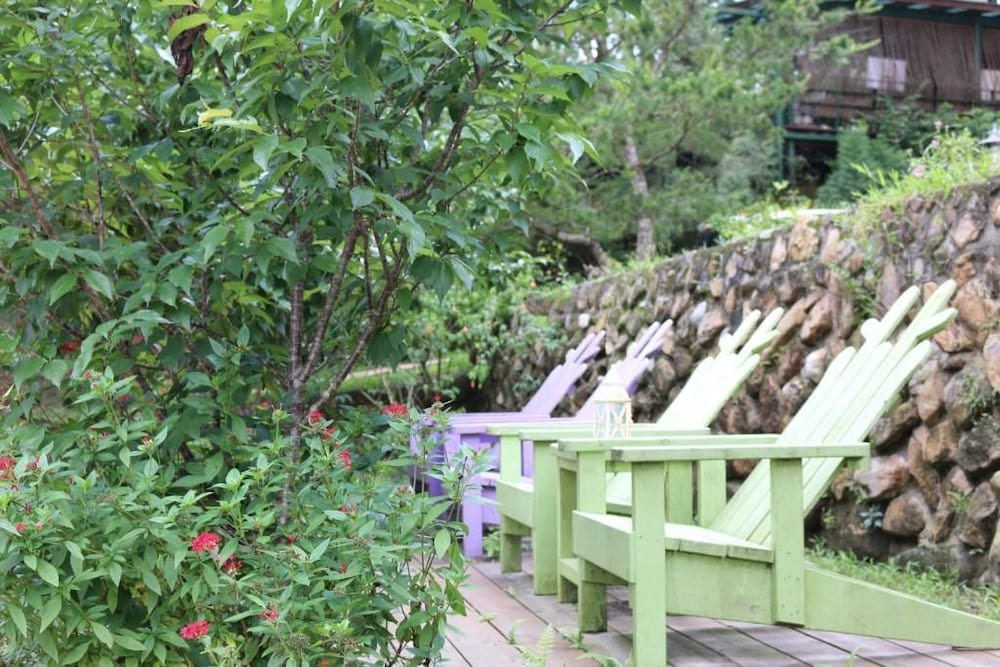 bear meets moose bed and breakfast