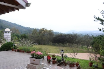 bear meets moose bed and breakfast