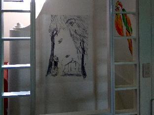 df park space hostel