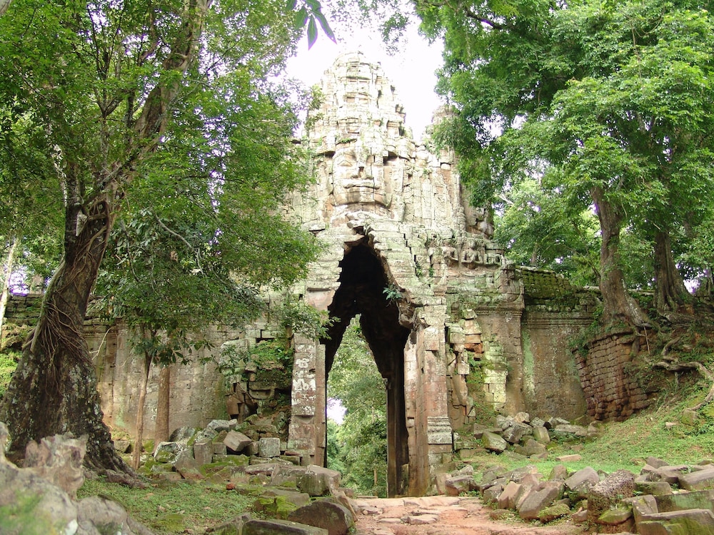 tropical breeze guesthouse