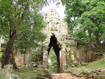 tropical breeze guesthouse