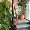boutique hotel and restaurant baren ringgenberg