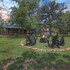 rocking ox gasthaus and barn cabin