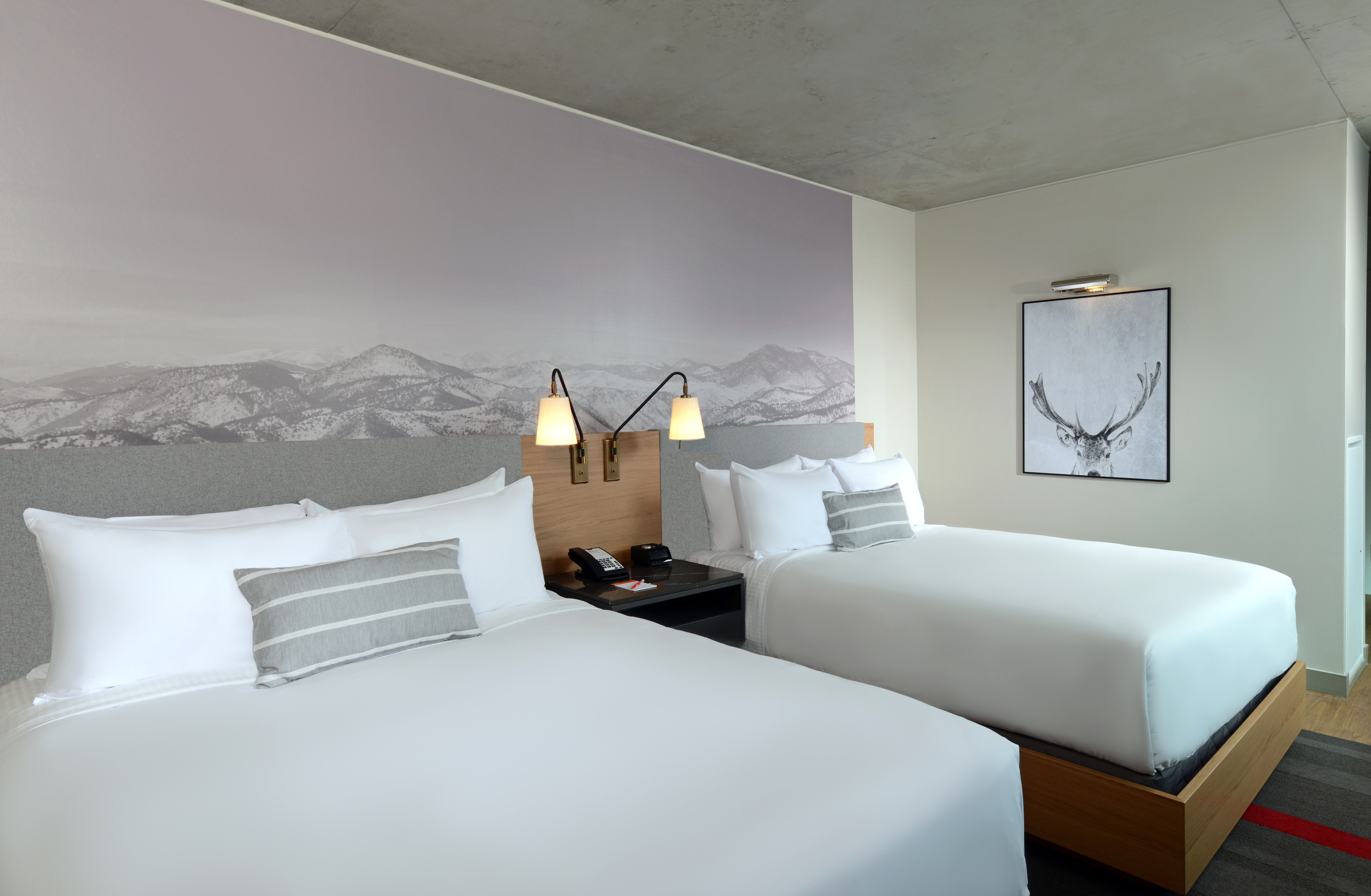 hotel indigo denver downtown union station by ihg