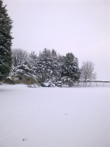 cottage leas country hotel and restaurant