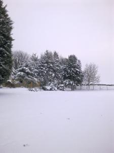 cottage leas country hotel and restaurant