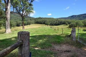 barrengarry