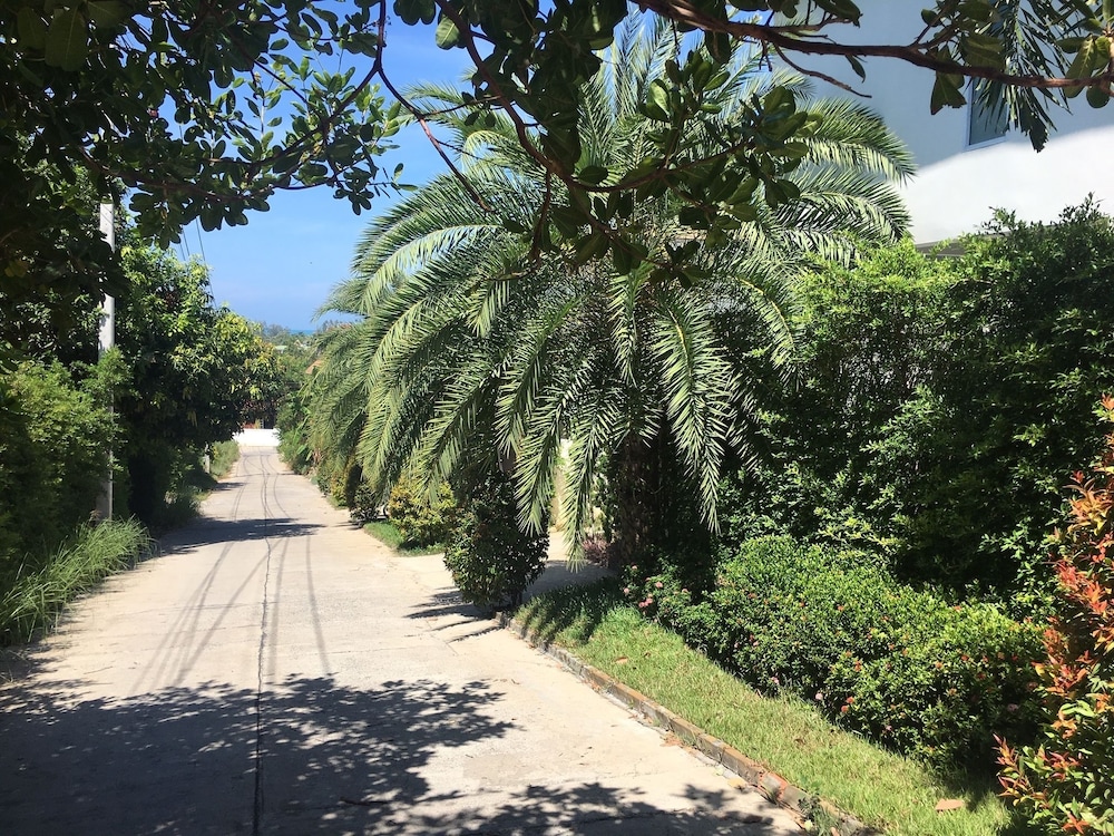 samui blue orchid adult only