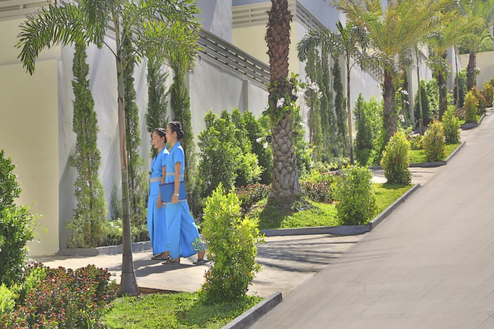 samui blue orchid adult only