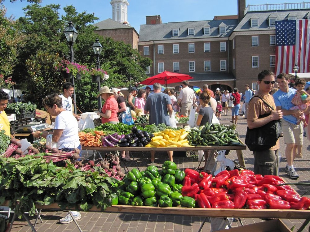 hotel indigo old town alexandria by ihg