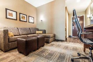 Comfort Suites University,Brookings County>>Brookings,3 star