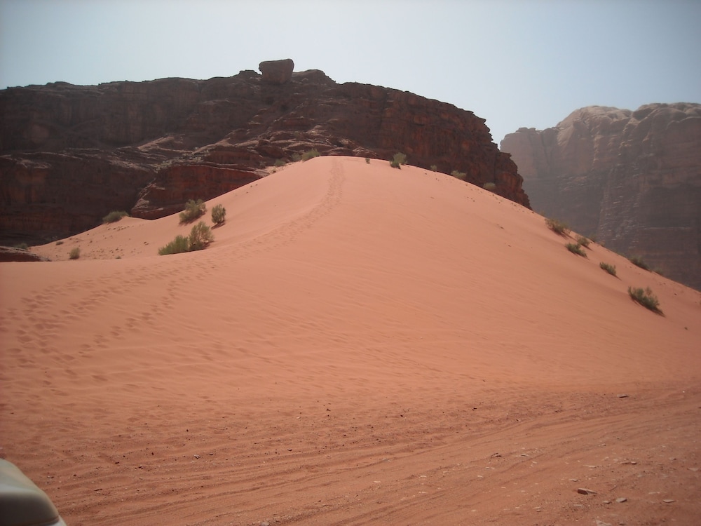 bedouin expedition camp