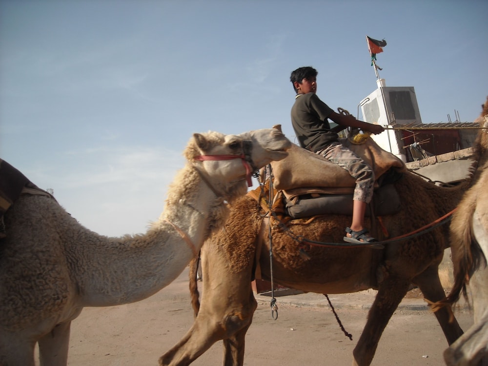 bedouin expedition camp