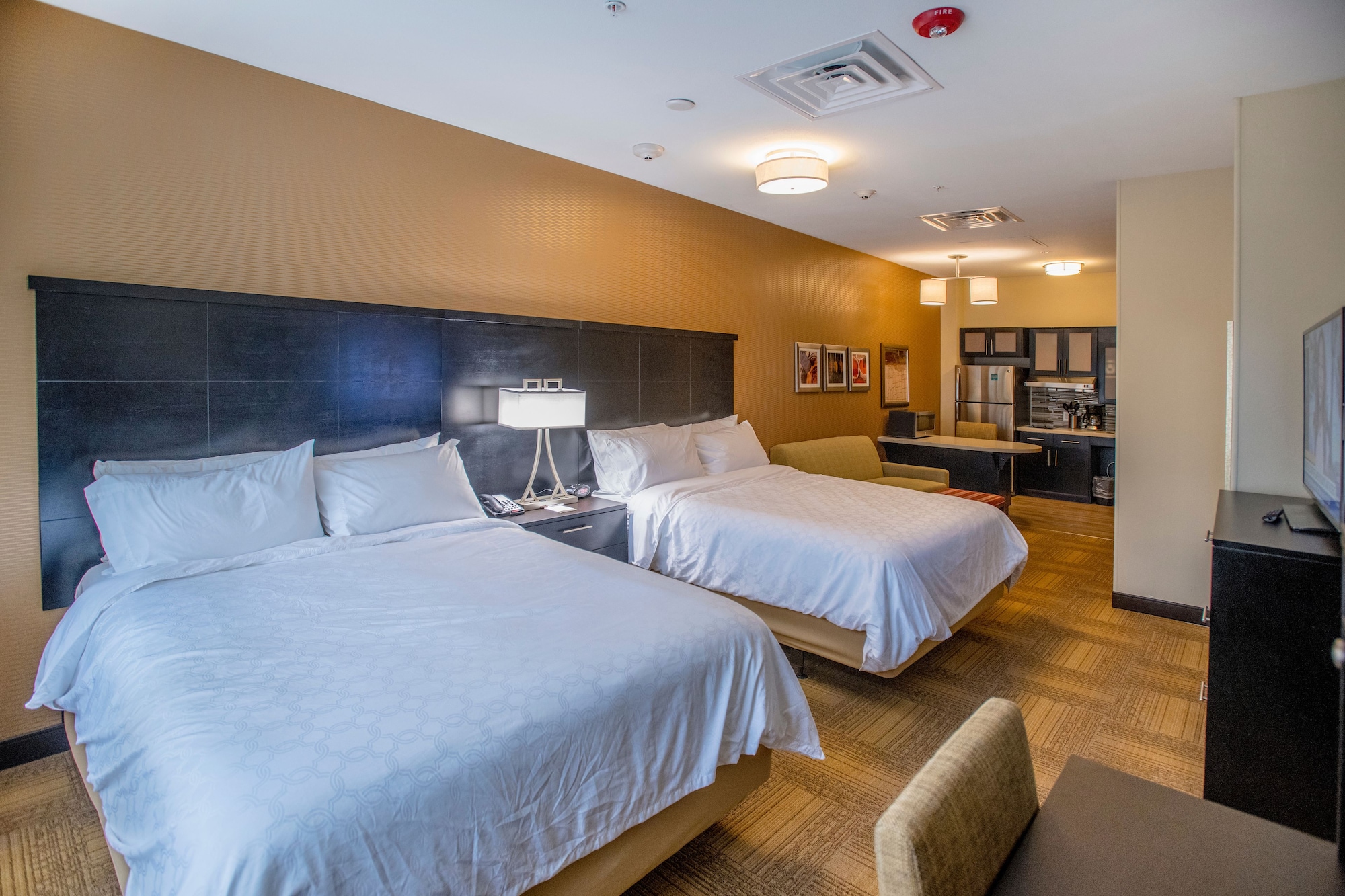 staybridge suites denver downtown by ihg