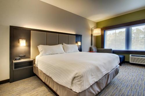 holiday inn express and suites charleston ne mt pleasant us17