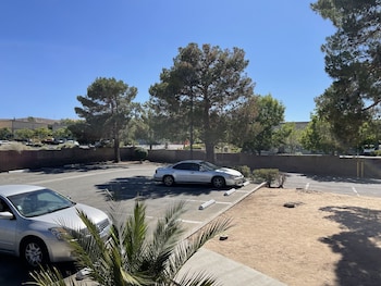 palms inn and suites