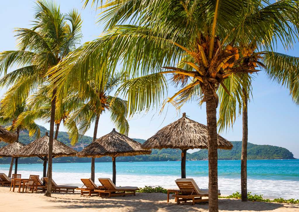 thompson zihuatanejo a beach resort by hyatt