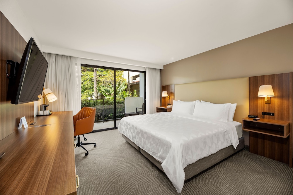 holiday inn san jose la sabana an ihg hotel