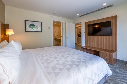 holiday inn san jose la sabana an ihg hotel