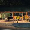 the grand tree resort