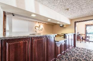 rodeway inn and suites charles town wv
