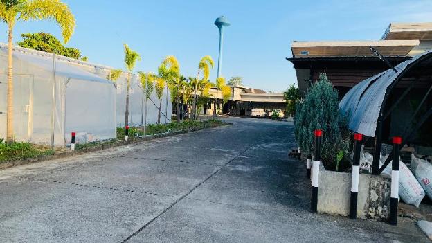 the loft at chiangrai