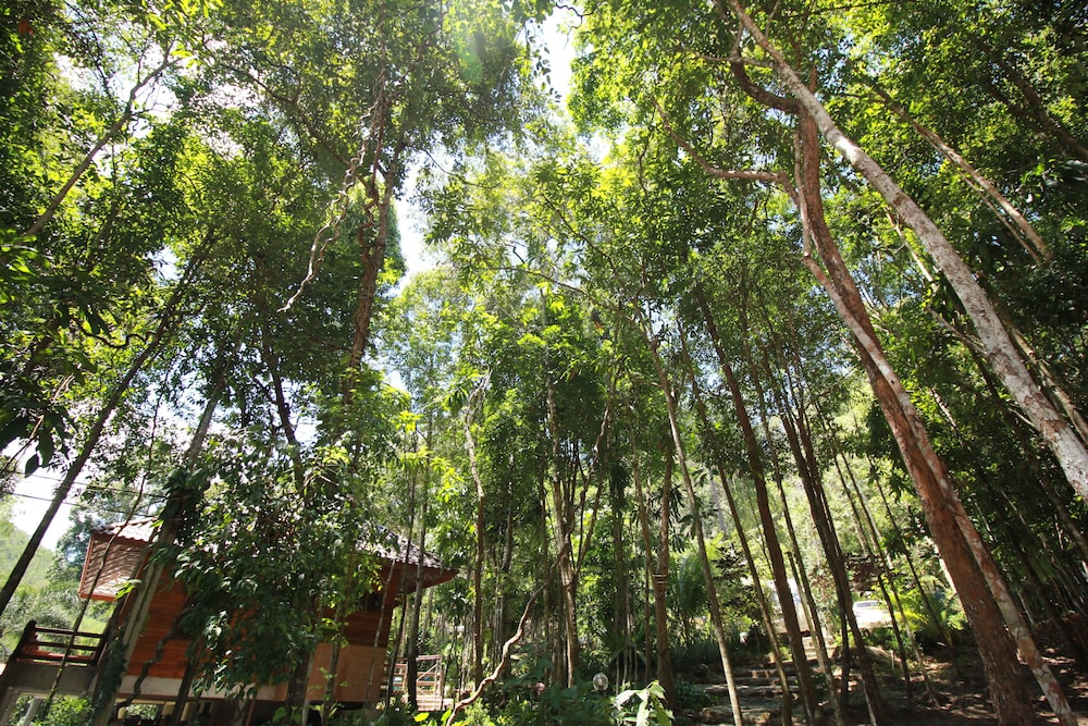 chestnut hill eco resort