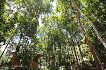 chestnut hill eco resort