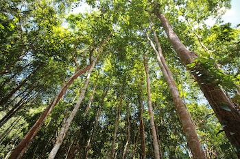 chestnut hill eco resort