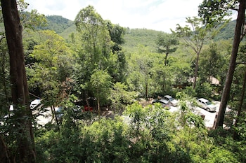 chestnut hill eco resort