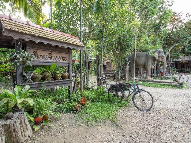 monfai culture house