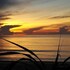 bamboo resort