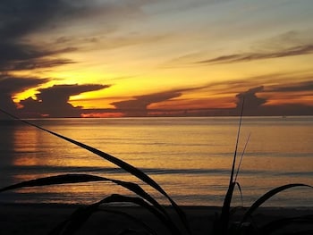 bamboo resort