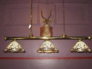 criterion hotel warwick