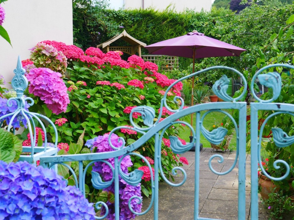 muntham holiday apartments and town house