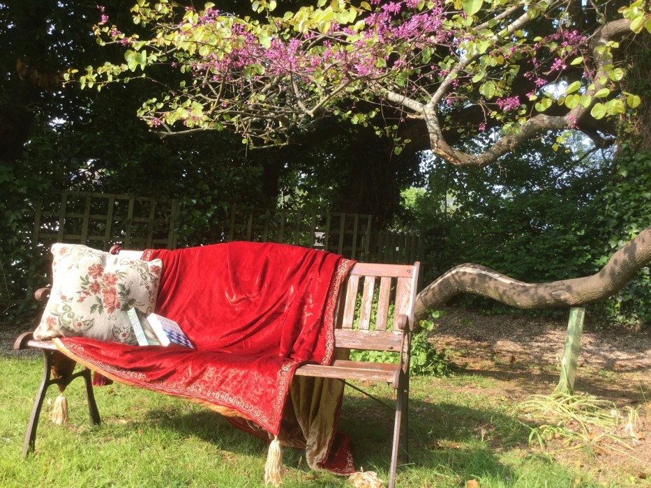 muntham holiday apartments and town house