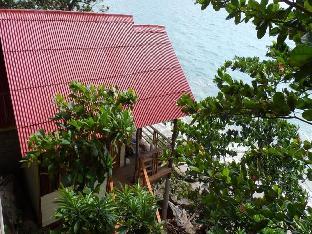 jungle hill beach bungalow