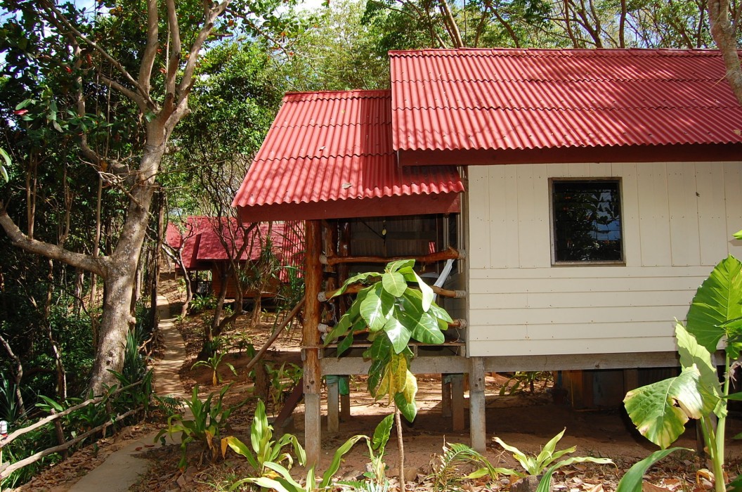 jungle hill beach bungalow