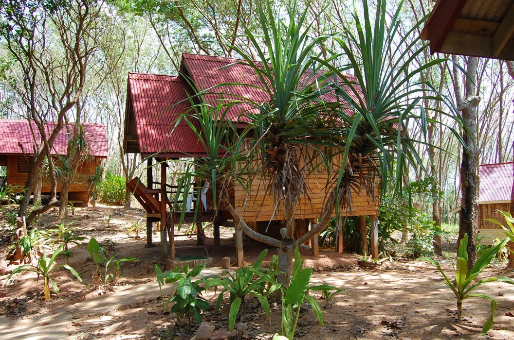 jungle hill beach bungalow