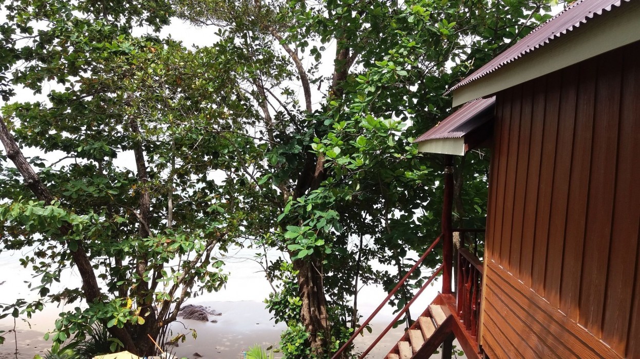 jungle hill beach bungalow