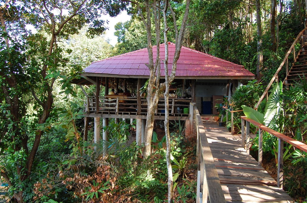 jungle hill beach bungalow