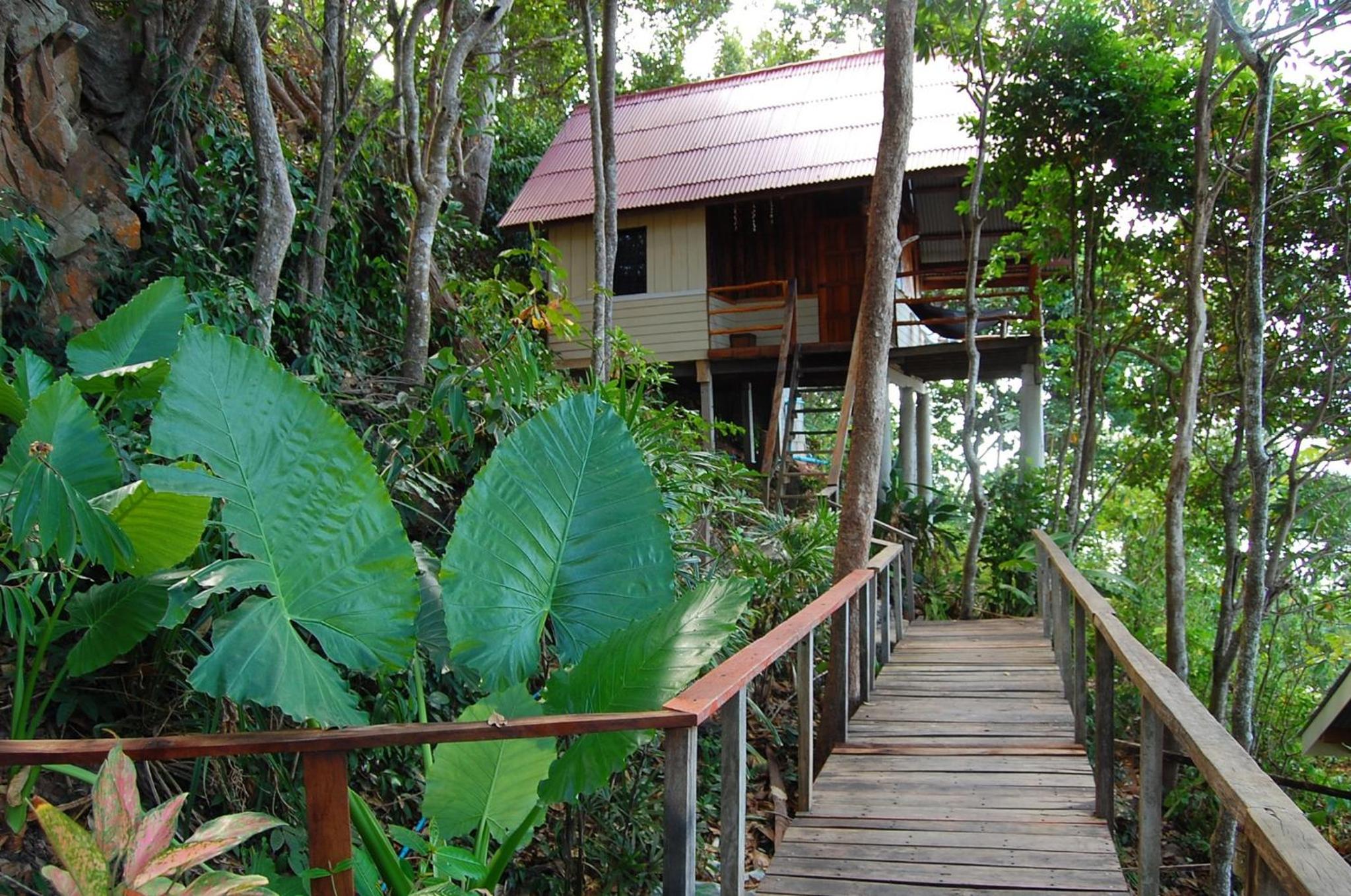jungle hill beach bungalow