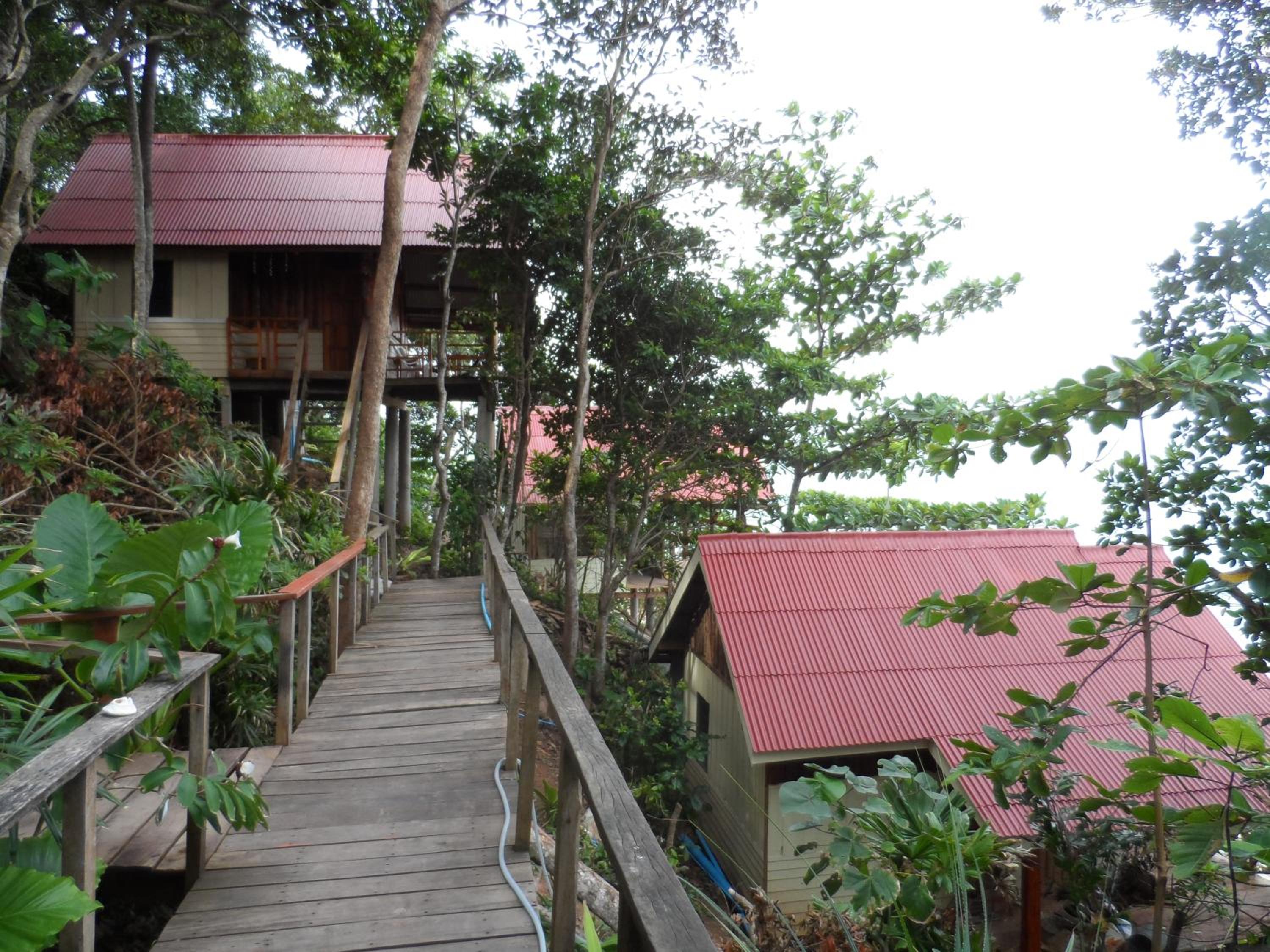 jungle hill beach bungalow