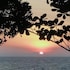 jungle hill beach bungalow