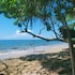 jungle hill beach bungalow