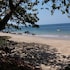jungle hill beach bungalow