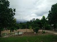 tewdoi garden resort