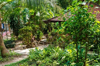lost resort